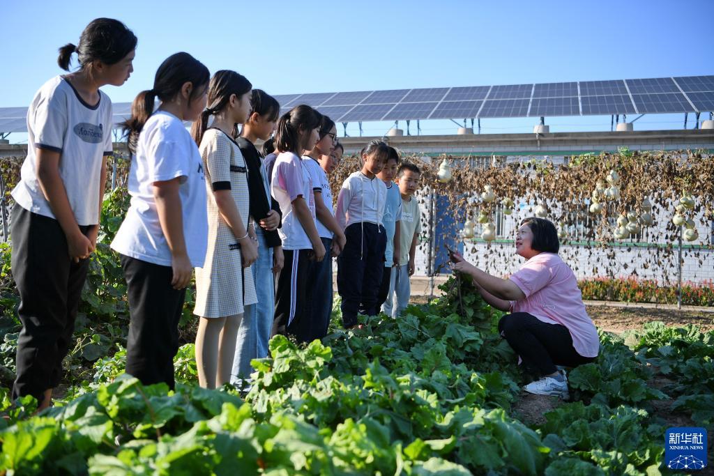 游戏下载软件免费